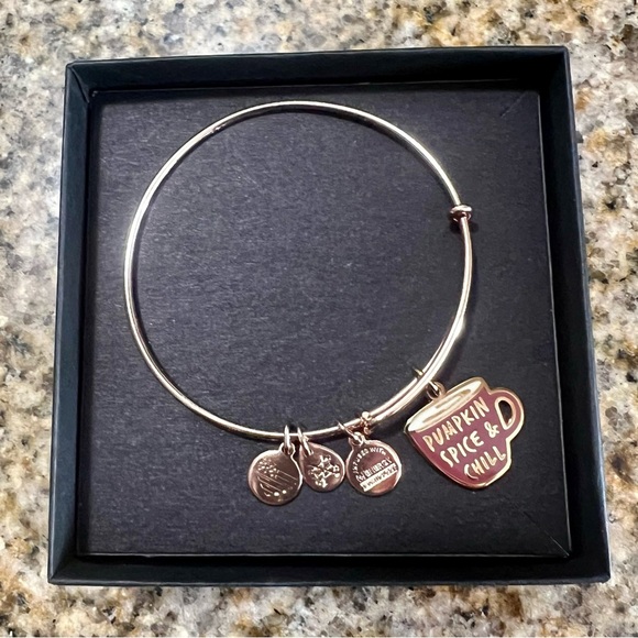 Alex and Ani Rose Gold Pumpkin Spice & Chill Charm Bracelet - Picture 3 of 4